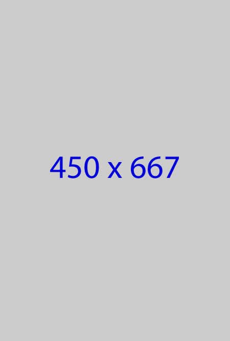 450x667 dummy placeholder for The Ramble Hotel